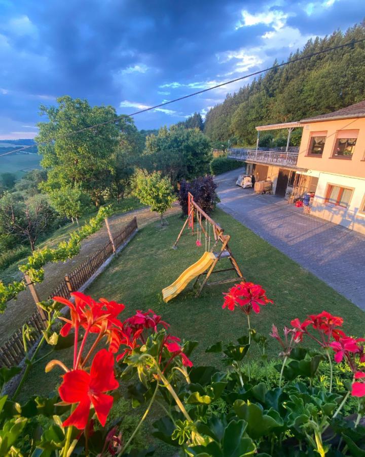 Rheingoldschaenke Hotel Oberwesel Buitenkant foto